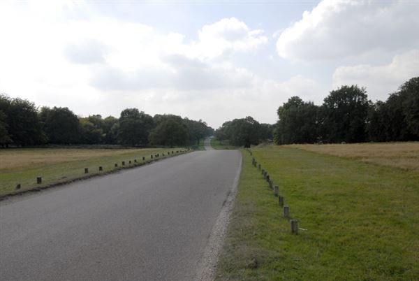 Richmond Park (01/05/2019)