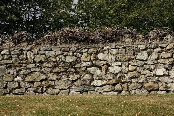 Barking Abbey Ruins (01/05/2019)