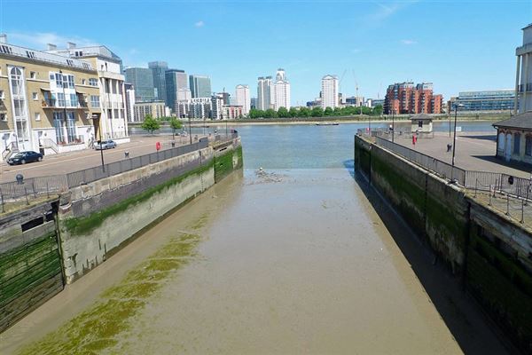 Greenland Dock (01/05/2019)