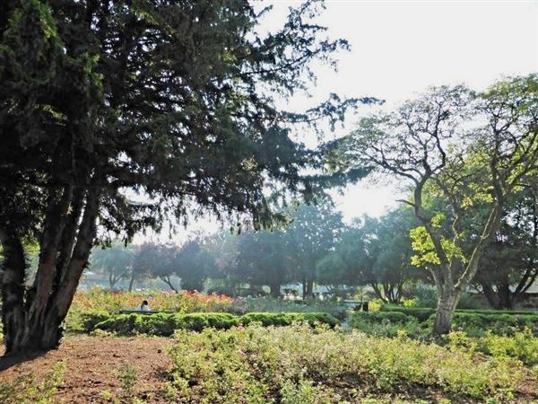 Kilburn Grange Park (01/05/2019)