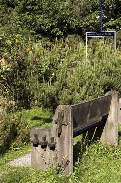 Elmstead Woods  Station (01/05/2019)