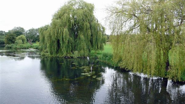 Foots Cray Meadows (01/05/2019)