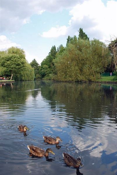 Beddington Park & The Grange (01/05/2019)