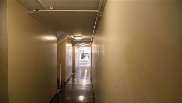 Dollis Valley Estate (15/05/2018)