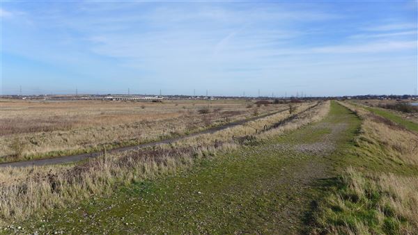 Rainham Marshes - Thames Side (20/04/2018)