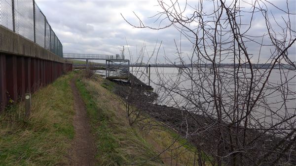 Rainham Marshes - Thames Side (20/04/2018)
