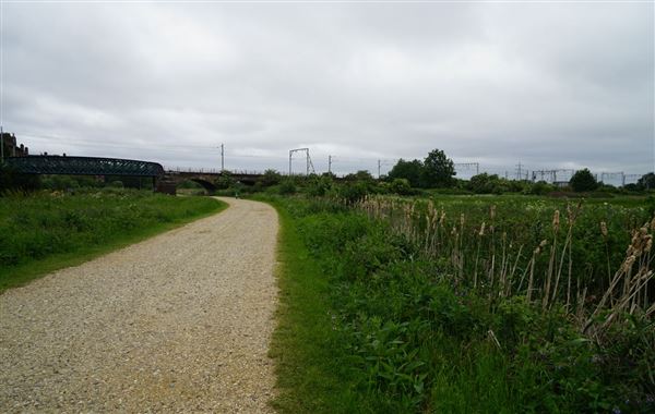 Walthamstow Marshes (30/04/2018)