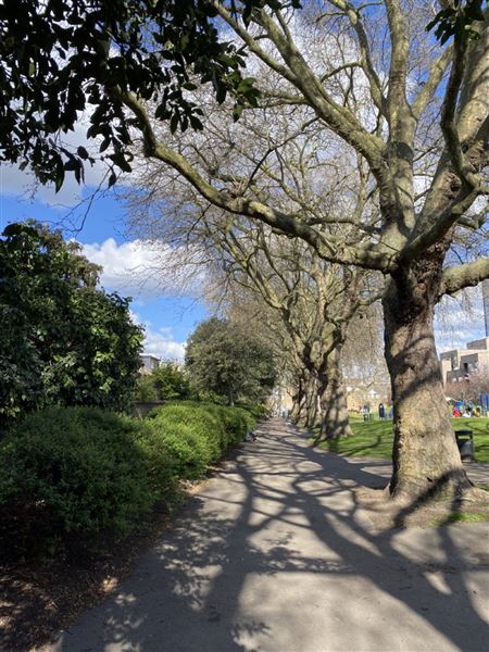 Grove Hall Park (07/04/2023 - Credits: Phil)