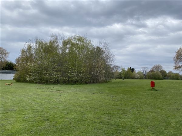 Abbey Hill Park (26/04/2023 - Credits: Phil)