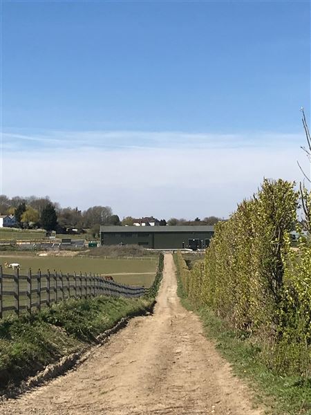 Honeybee Farm (01/05/2023 - Credits: submitted by: Jo Thompson)