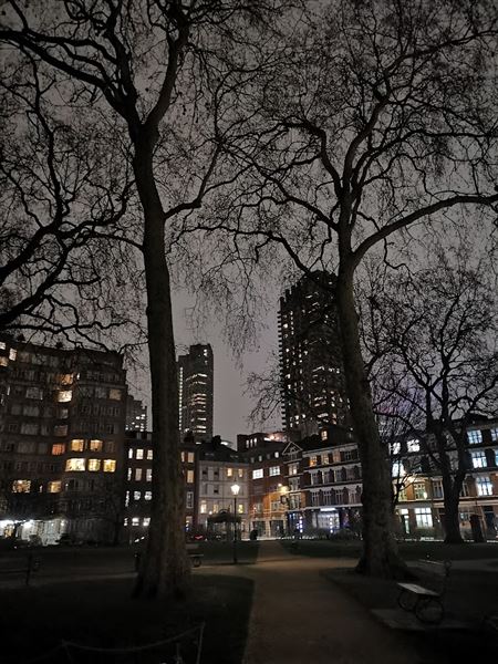 The Charterhouse (23/11/2023)