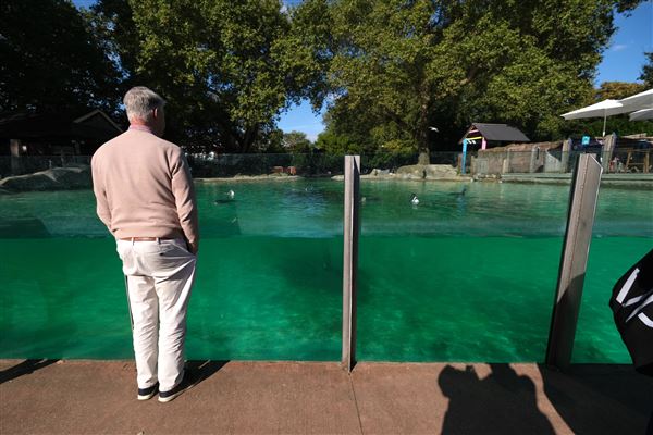 London Zoo (04/10/2024)