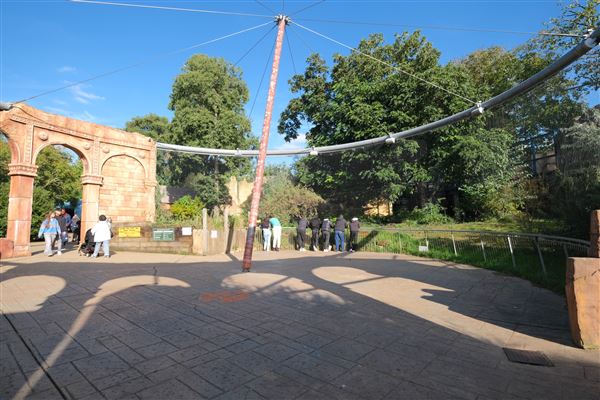 London Zoo (04/10/2024)