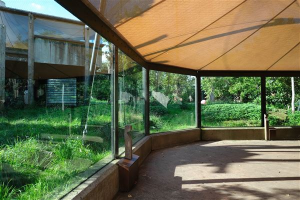 London Zoo (04/10/2024)