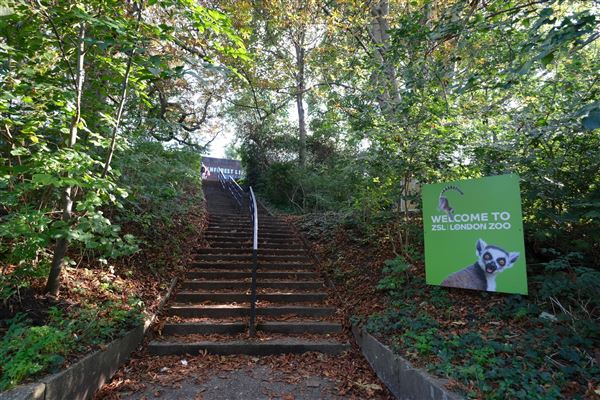London Zoo (04/10/2024)