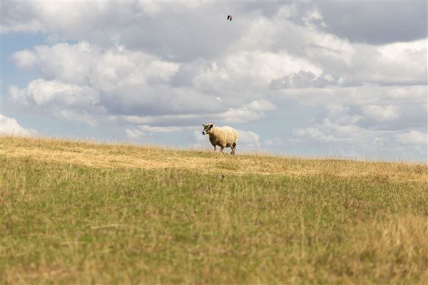 Keepers Farm (25/03/2026 - Credits: submitted by: Jo  Thompson)